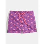 Mens Argyle Vintage Print Flamingo Pattern Drawstring Mesh Linning Board Shorts